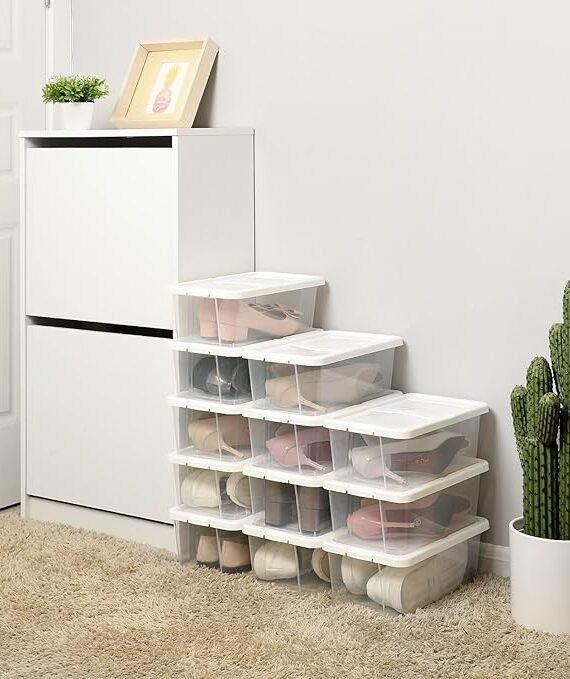 Kastīšu komplekts apaviem 12 gab. (LSP12WT)